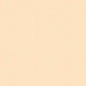SANDERSON PAINT AUTUMN TAN  80
